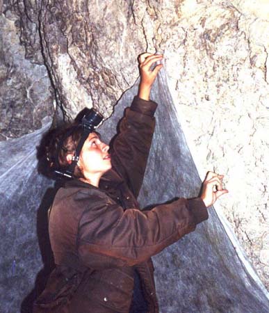 ������������ ������� ������ �� ������ ������� �����. ����������� �����.