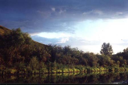 ������� �. �����, ����� �������� ������� ����� 