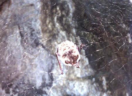 ������� ������� �������� � ��������� ���� ������������ �� ������ �� ������ �����������