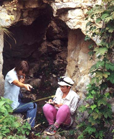 ���� � ������ ������� �����. ��������� ������������ ����� ����� � ������ � � ����� ������. ��������� �������� �������� �� ���