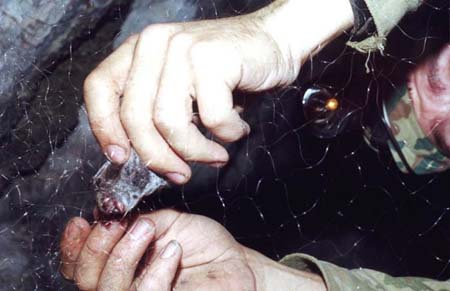 ����������� ������� ������� �� ��������� ���� ������������� � ������ �����������