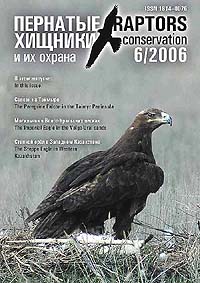 Cover #6/2006