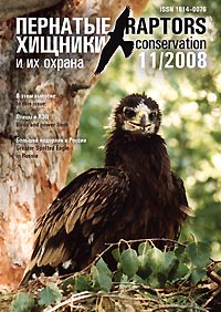 Cover #11/2008